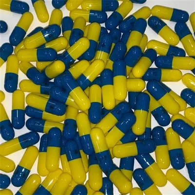 Kapsul Gelatin Kosong 00